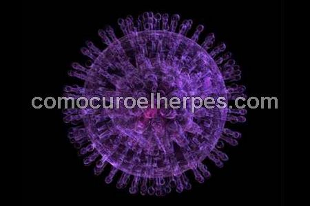 Representación gráfica del HSV (virus herpes simple)